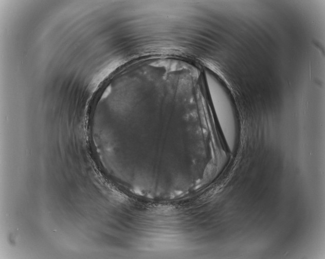 X0000102231071200808221303