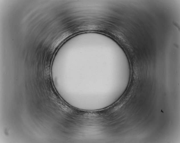 X0000102231073200808221302