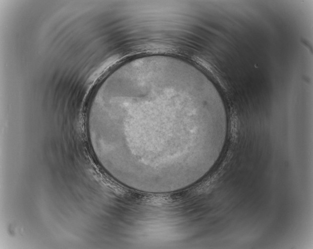 X0000102231074200808221302