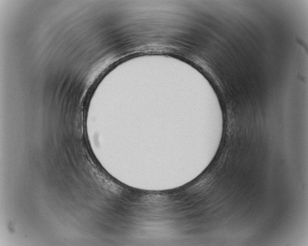 X0000102231075200808221302