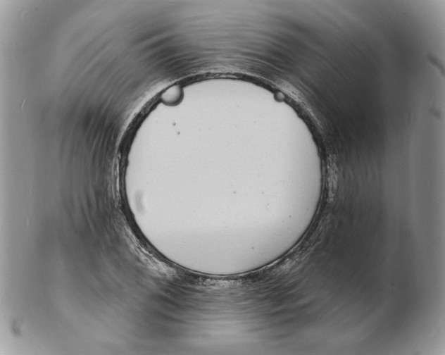 X0000102231076200808221302