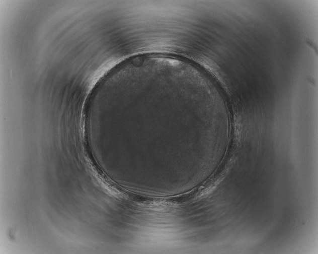 X0000102231077200808221302