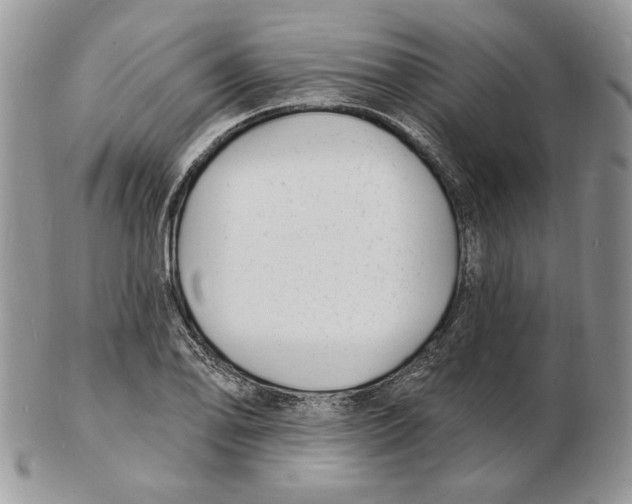 X0000102231078200808221302