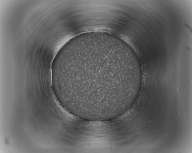 X0000102231079200808221302