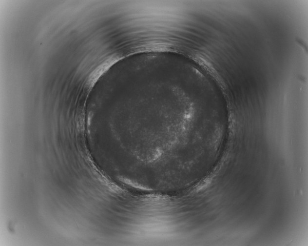 X0000102231081200808221302