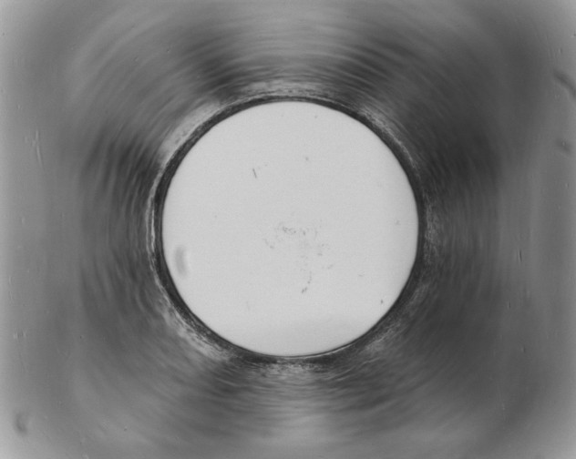 X0000102231082200808221302