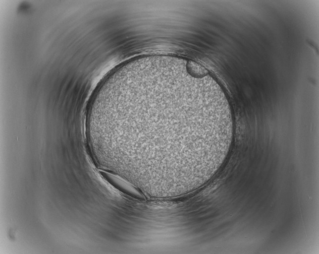 X0000102231083200808221302