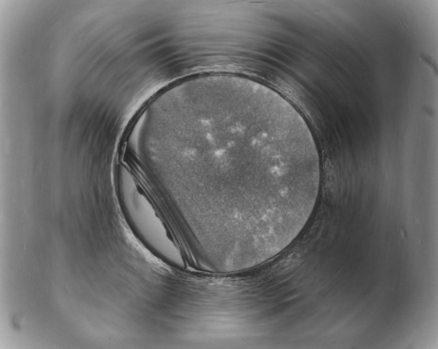 X0000102231084200808221302