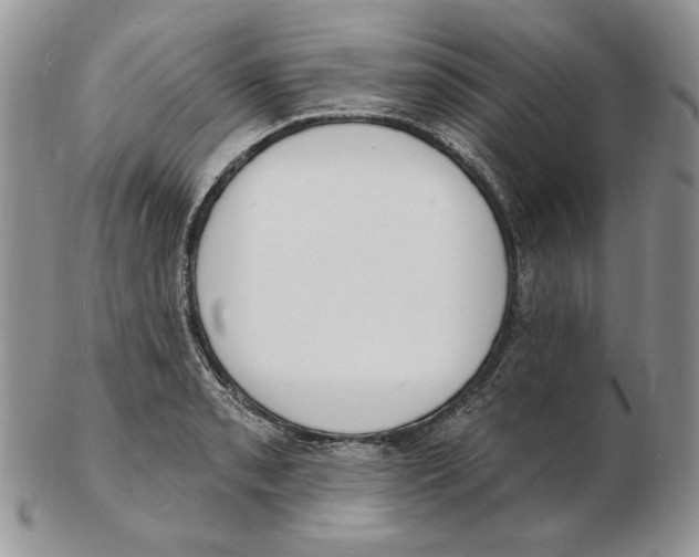 X0000102231085200808221302