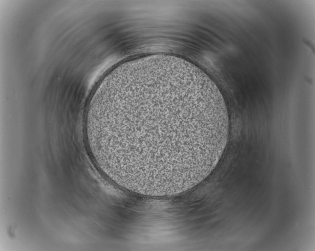 X0000102231086200808221302