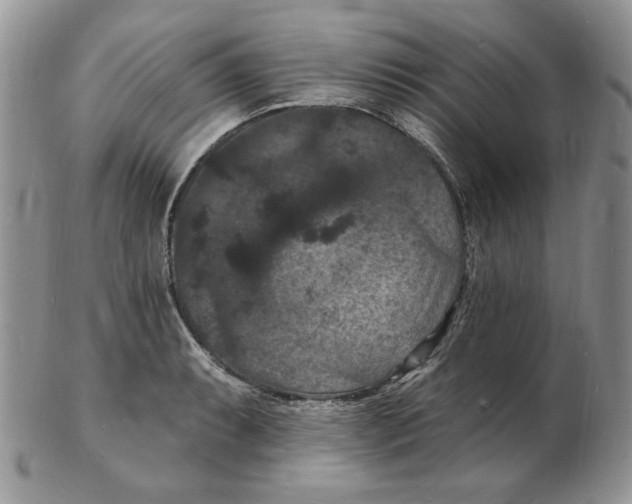 X0000102231087200808221302