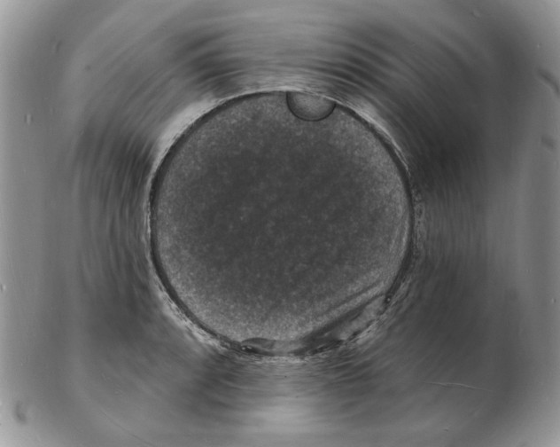 X0000102231088200808221302