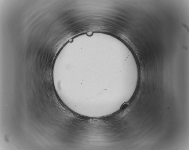 X0000102231089200808221302