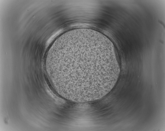 X0000102231090200808221302