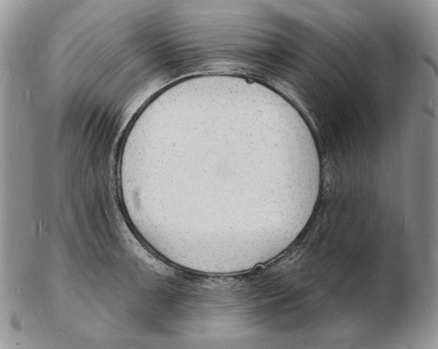 X0000102231091200808221302