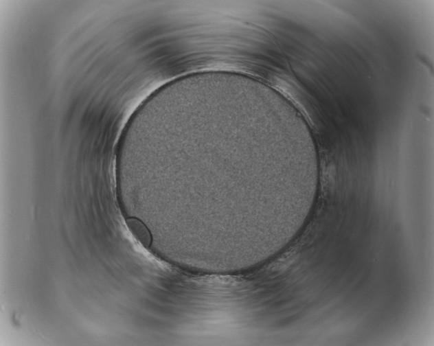 X0000102231092200808221302