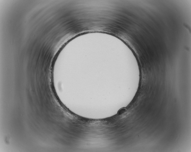 X0000102231093200808221302