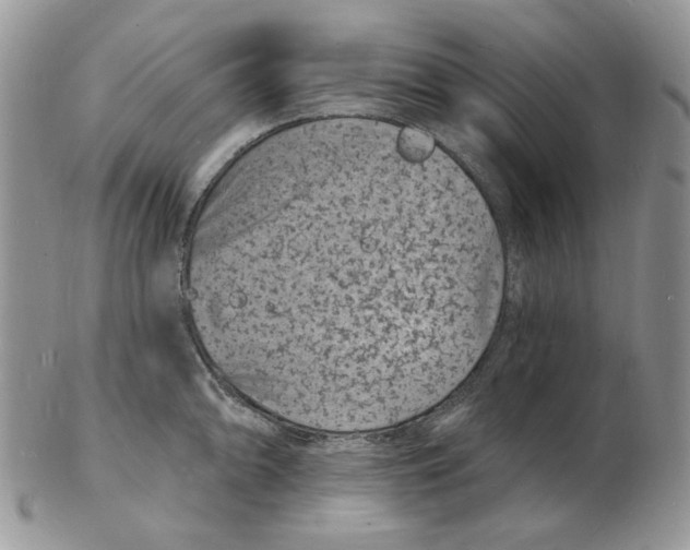 X0000102231094200808221302