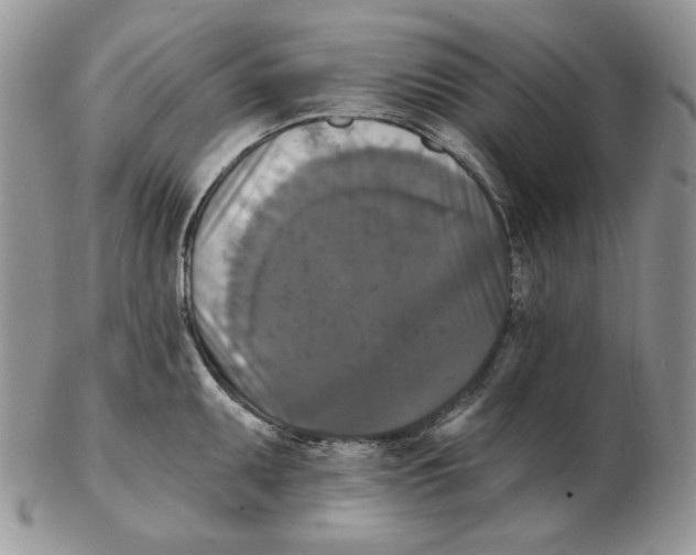 X0000102231095200808221302