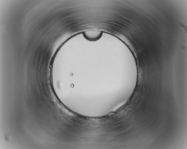 X0000102231096200808221302
