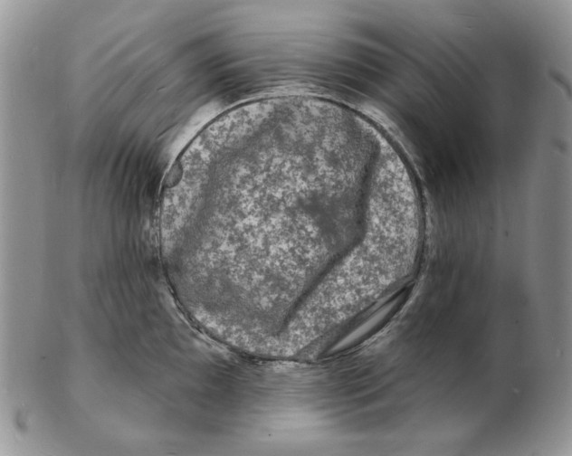 X0000102231097200808221302
