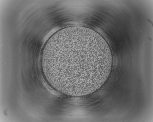 X0000102231098200808221302