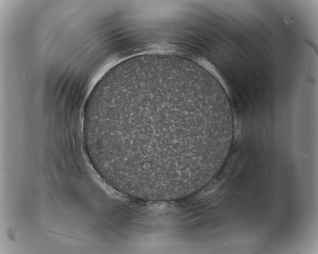 X0000102231099200808221302