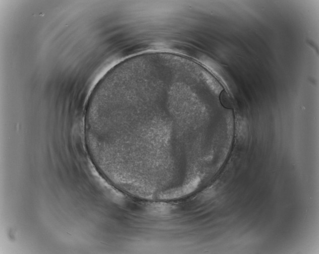 X0000102231100200808221302