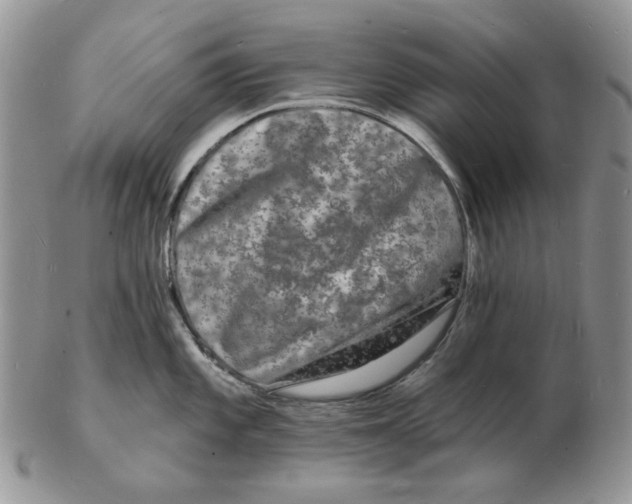 X0000102231101200808221302