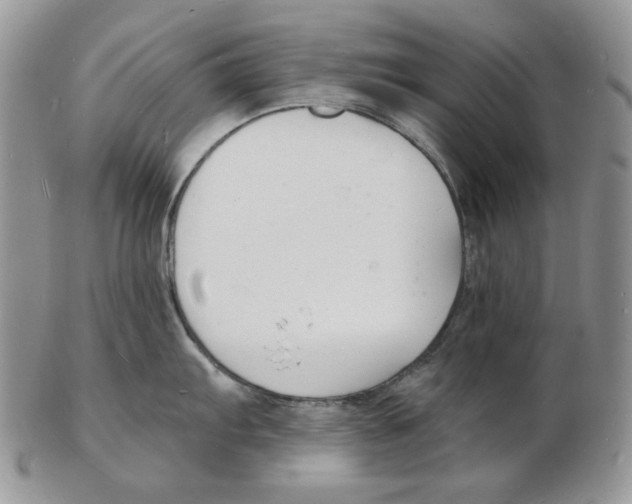 X0000102231103200808221302
