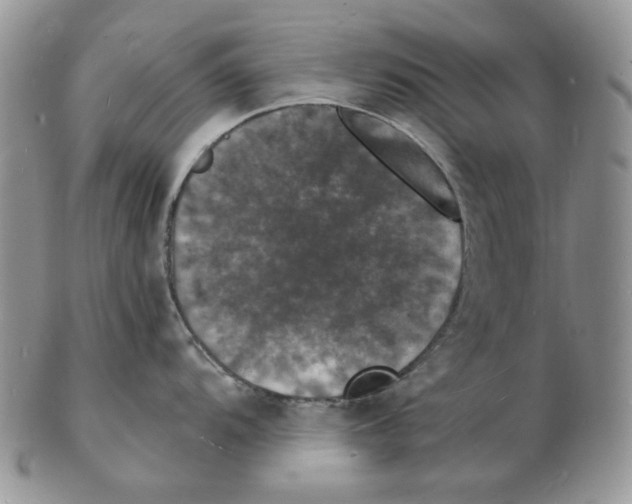 X0000102231104200808221302