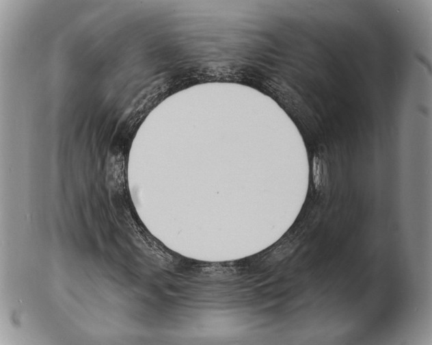 X0000102231107200808221301