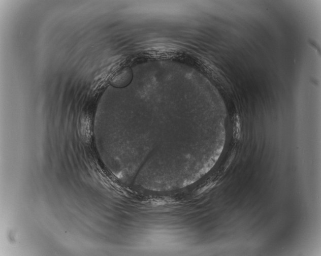 X0000102231108200808221301