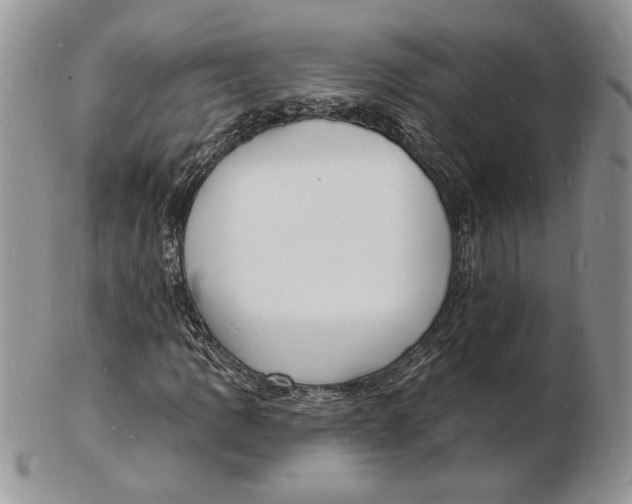 X0000102231109200808221301