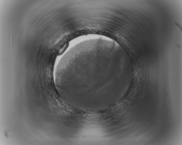 X0000102231110200808221301