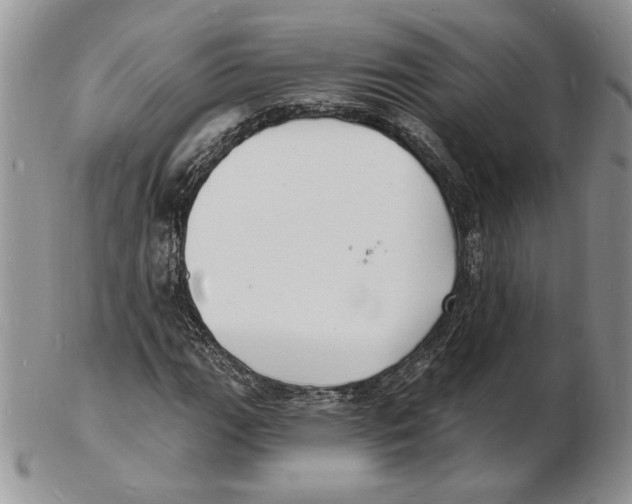 X0000102231111200808221301