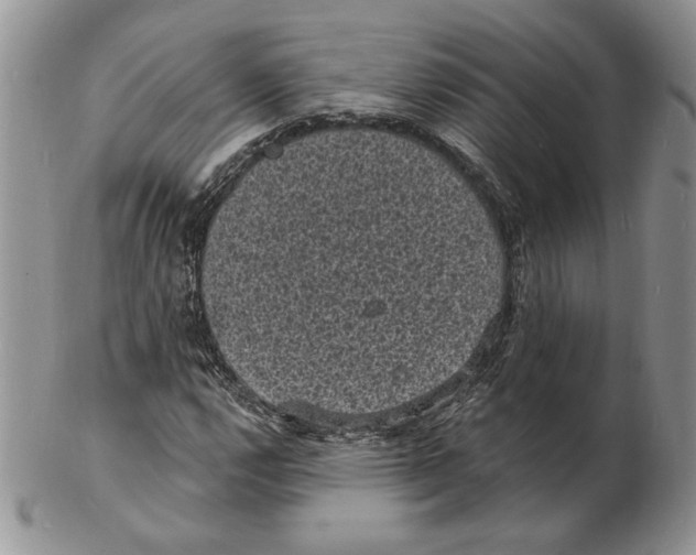 X0000102231112200808221302