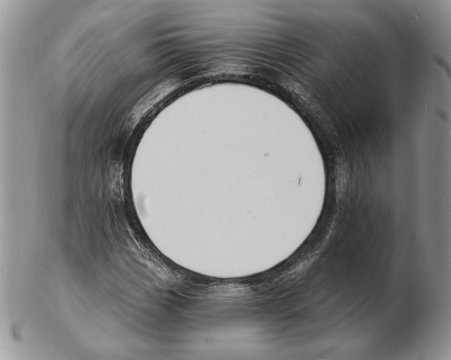 X0000102231113200808221302