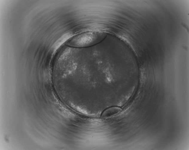 X0000102231114200808221302