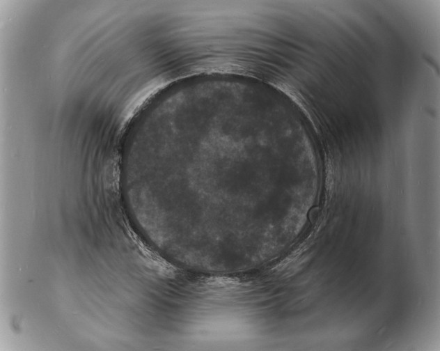 X0000102231115200808221302