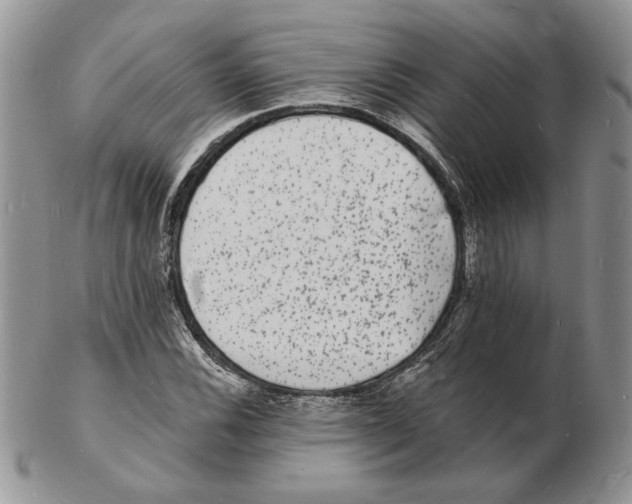 X0000102231116200808221302