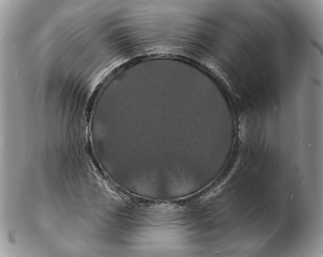 X0000102231117200808221302