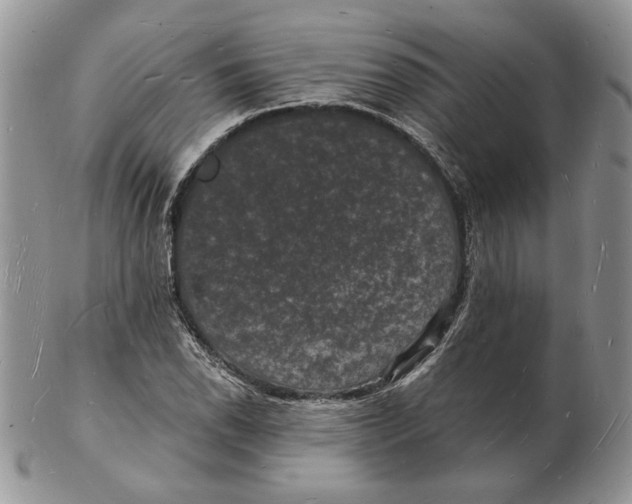 X0000102231118200808221302