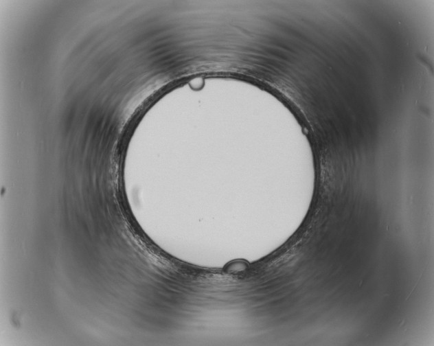 X0000102231119200808221302