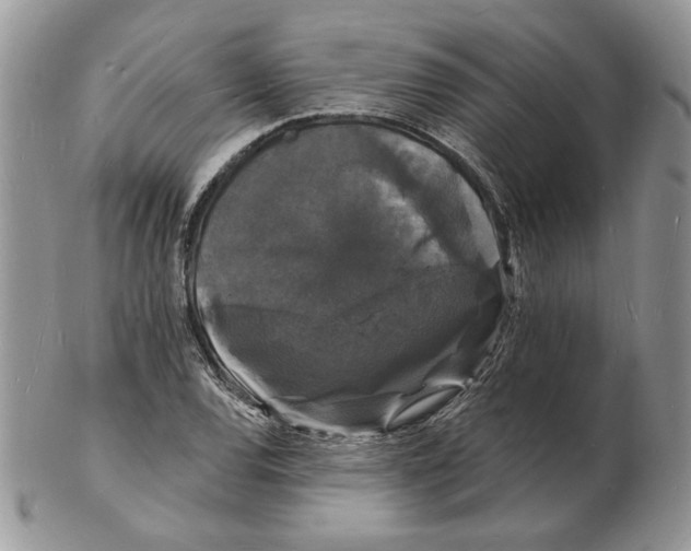 X0000102231120200808221302