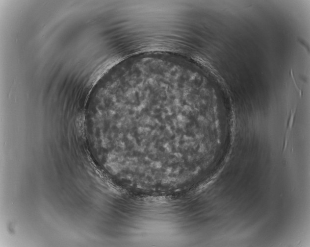 X0000102231121200808221302