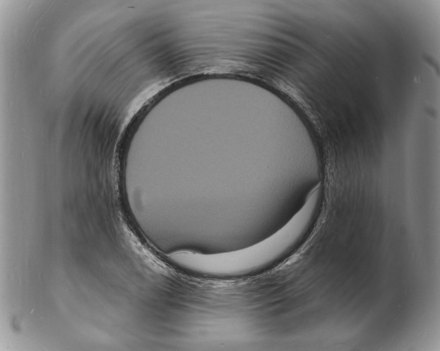 X0000102231122200808221302