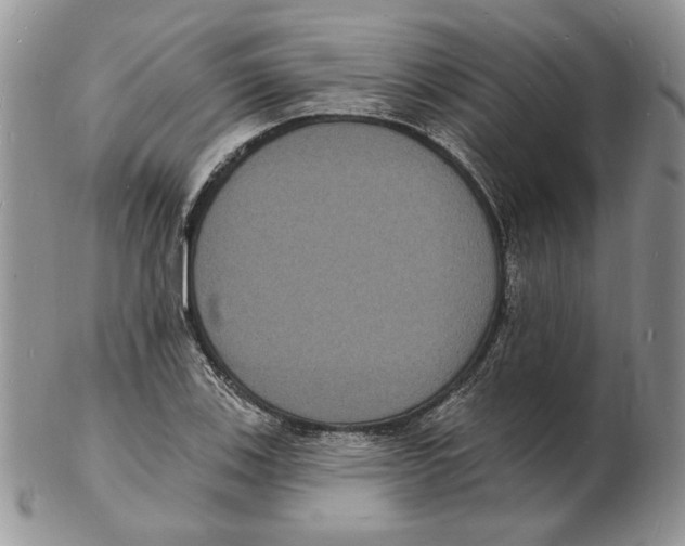 X0000102231123200808221302