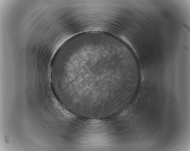 X0000102231124200808221302