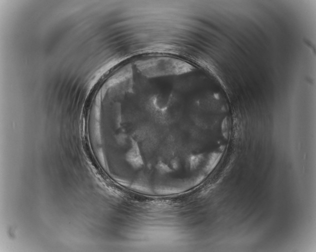 X0000102231125200808221302